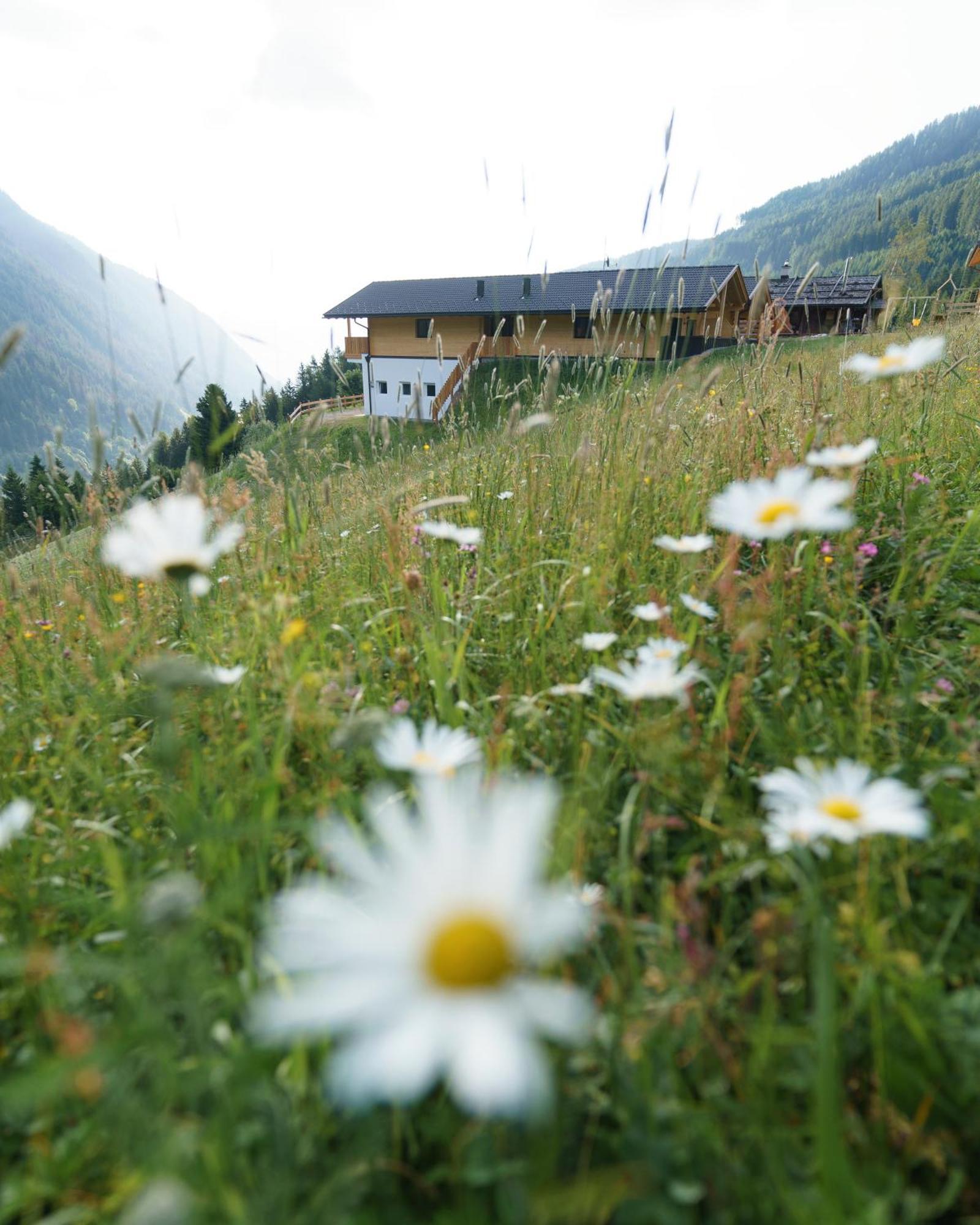 Blosegghof Bergchalets Waldblick Racines Luaran gambar